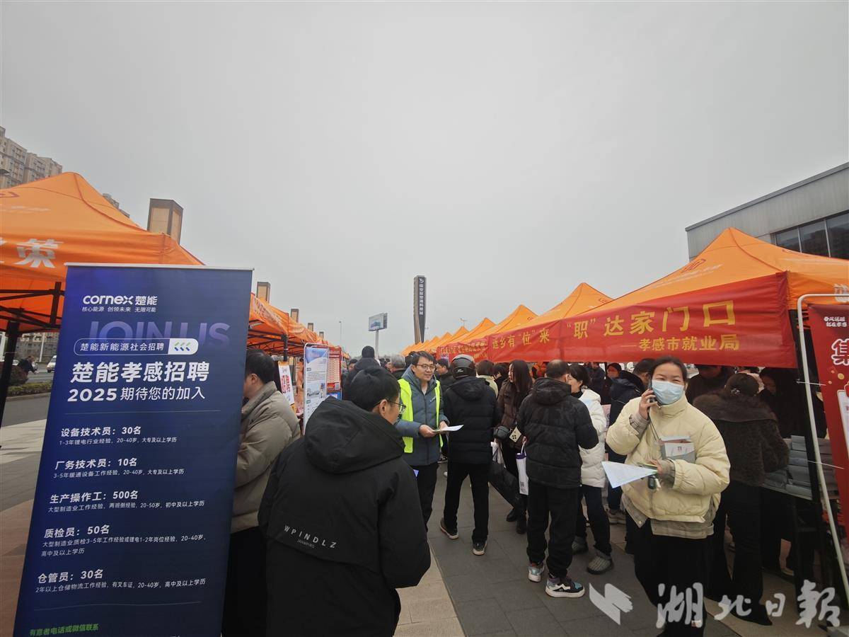 线上线下结合 AI智能匹配 孝感春风行动帮1.7万人达成就业意向